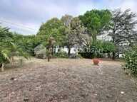 Terrain — photo 2