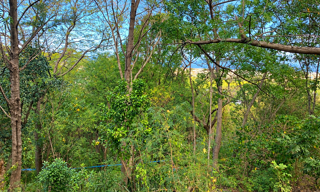 Terrain  543 m² à vendre à Saint-Louis (97421)