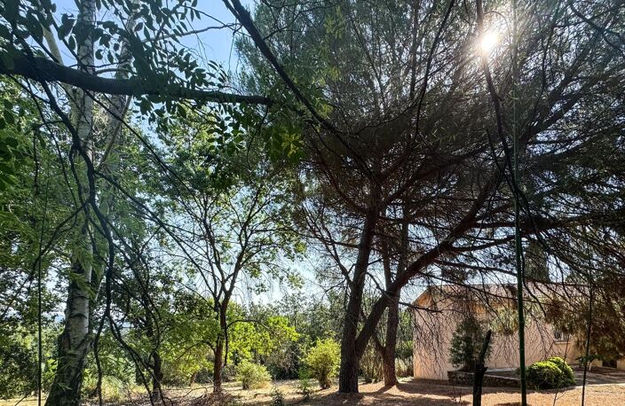 Une maison pleine de charme au cœur de la nature — photo 4