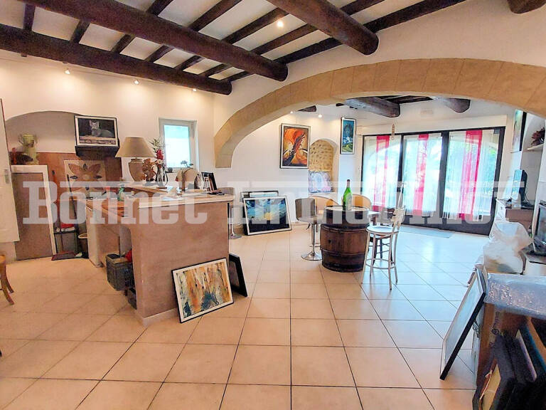 Commerce et appartement en duplex avec terrasse et superbe v — photo 1