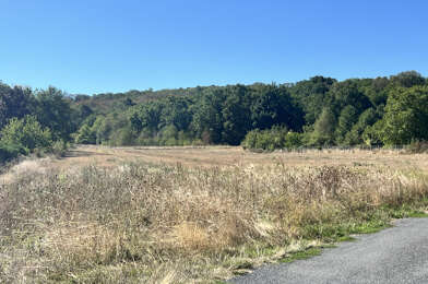 Terrain  110000 €