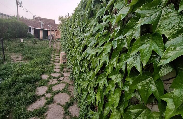 Vente Maison de ville 3 pièces — photo 4