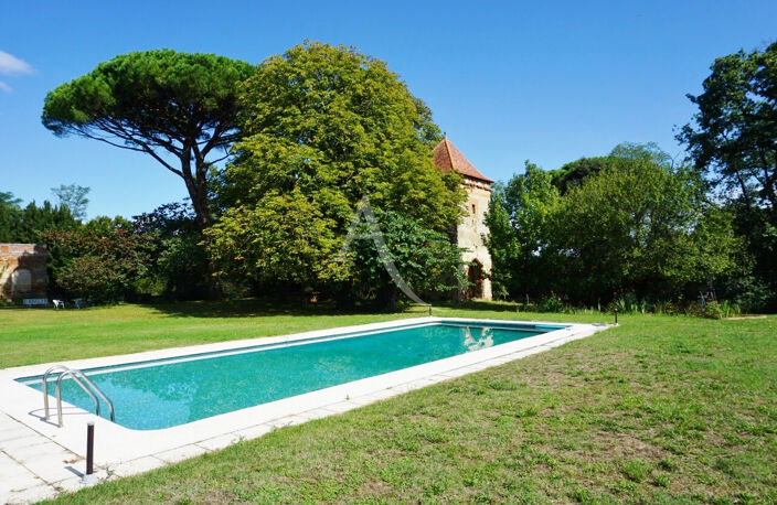 Château de la Tour à Mondonville 15 pièces 700 m² + dépendances sur 18366 m² de terrain — photo 3