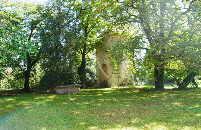 Château de la Tour à Mondonville 15 pièces 700 m² + dépendances sur 18366 m² de terrain — photo 4