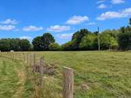 Maison de campagne 5ch dependance 1.4 hectare — photo 4