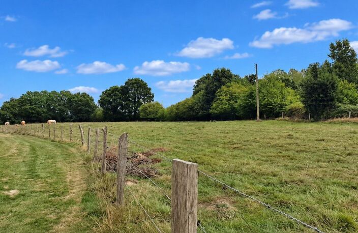 Maison de campagne 5ch dependance 1.4 hectare — photo 4