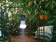 HORTUS — photo 4
