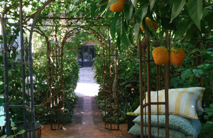 HORTUS — photo 4