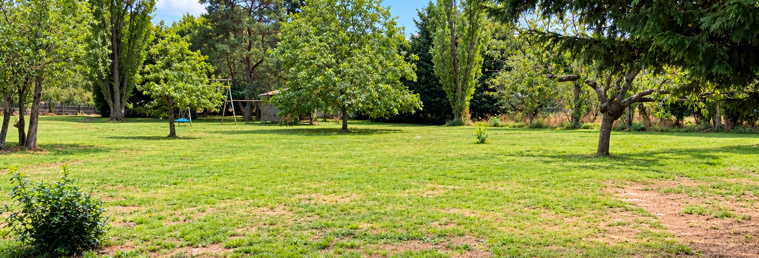 Terrain  1000 m² à vendre à Soleymieux (42560)