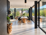 VENTE-VILLA COMTEMPORAINE-69370-Saint didier au mont d'or — photo 3