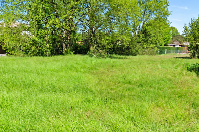 Terrain  173000 €