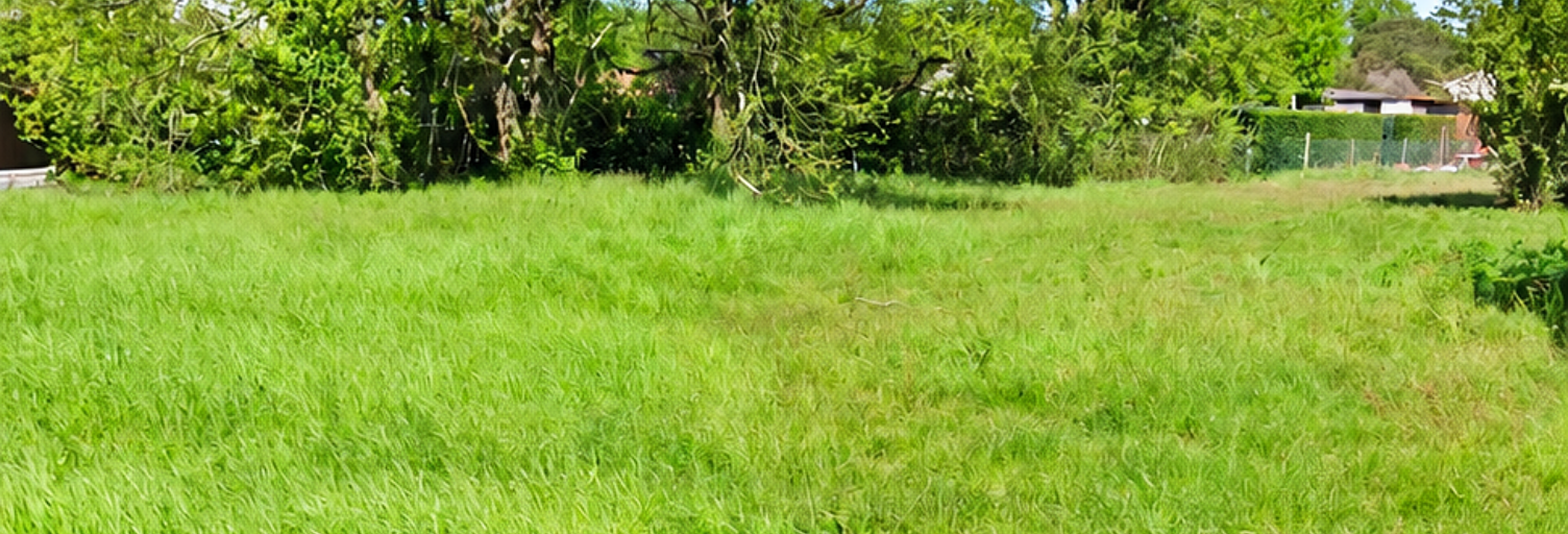 Terrain  954 m² à vendre à Ambarès-et-Lagrave (33440)