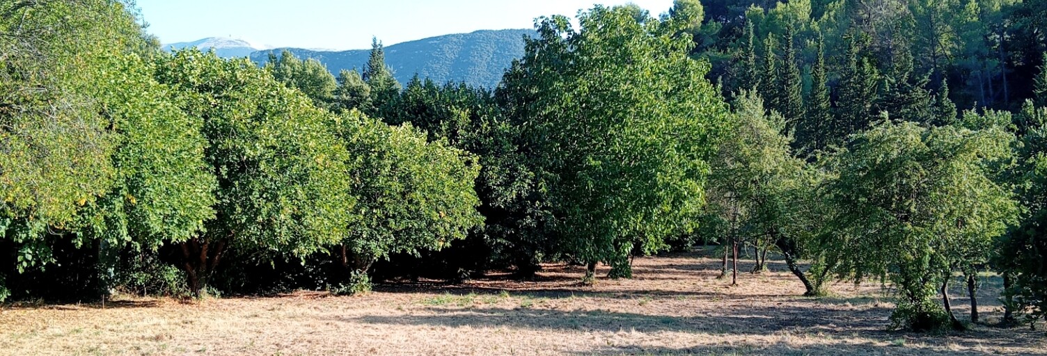 Terrain  3230 m² à vendre à Buis-les-Baronnies (26170)