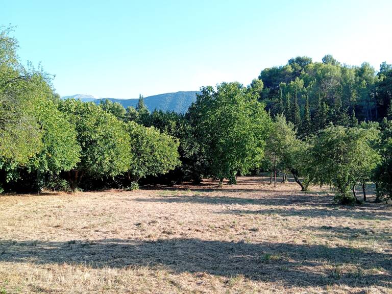 Vente Terrain à bâtir 3 230 m&sup2; — photo 1