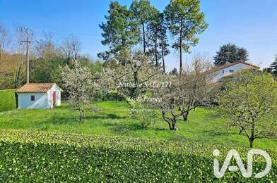 Terrain  85000 €