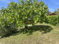5 min douane de TROINEX BOSSEY — photo 2
