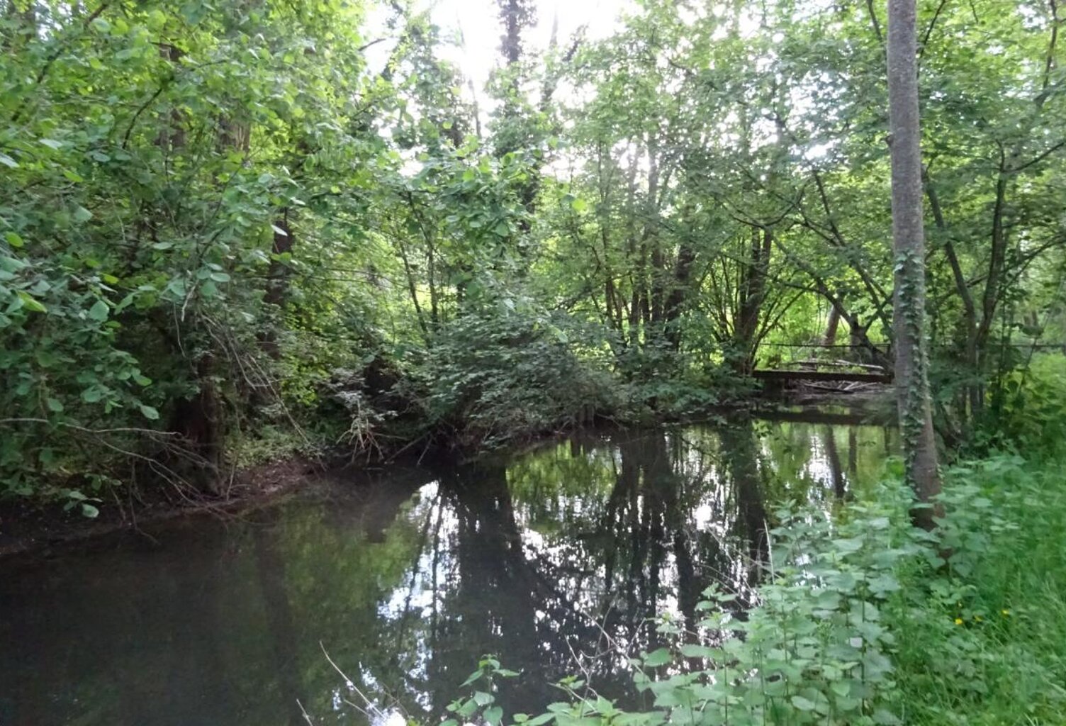 Terrain à vendre de 625,00 m² Proche de COURTEMAUX (45) — photo 1