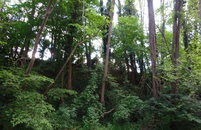 Terrain à vendre de 625,00 m² Proche de COURTEMAUX (45) — photo 2