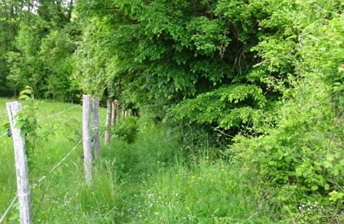 Terrain à vendre de 625,00 m² Proche de COURTEMAUX (45) — photo 3
