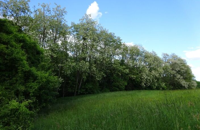 Terrain à vendre de 625,00 m² Proche de COURTEMAUX (45) — photo 4