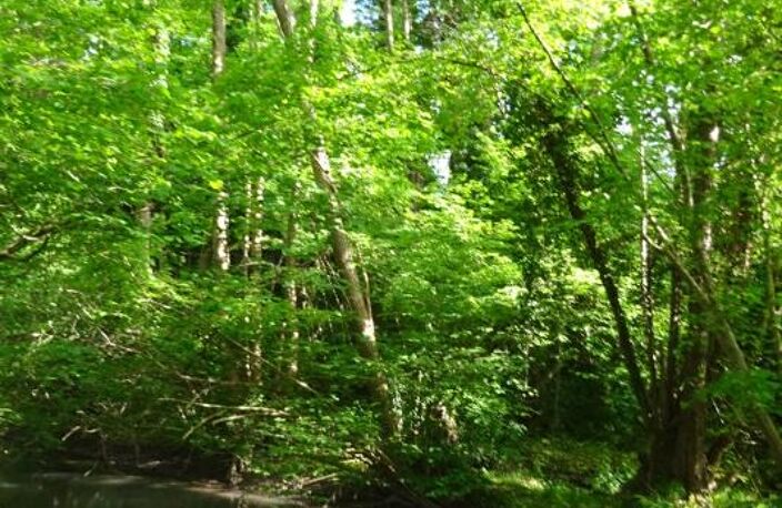 Terrain à vendre de 625,00 m² Proche de COURTEMAUX (45) — photo 5