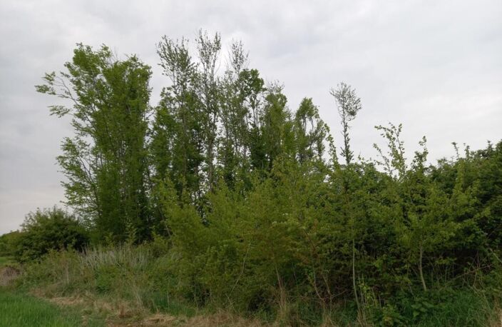 Terrain à vendre de 2 924,00 m² Proche de Courtenay (45320) — photo 5