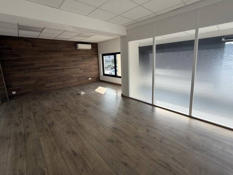 LOCAL COMMERCIAL RCE JARDINS D BODICCIONE BT E BD LOUIS CAMPI AJACCIO — photo 1