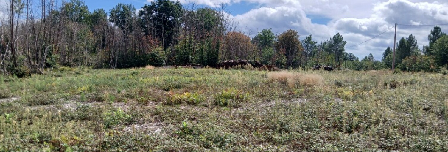 Terrain  2300 m² à vendre à Saint-Astier (24110)