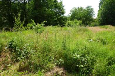 Terrain  132000 €