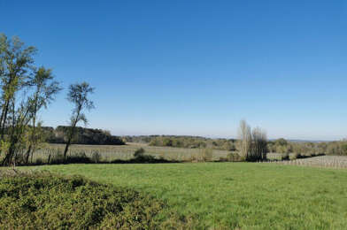 Terrain  65000 €