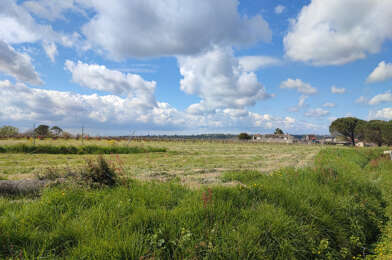 Terrain  75000 €