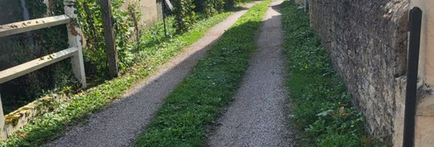 Photo N° 2