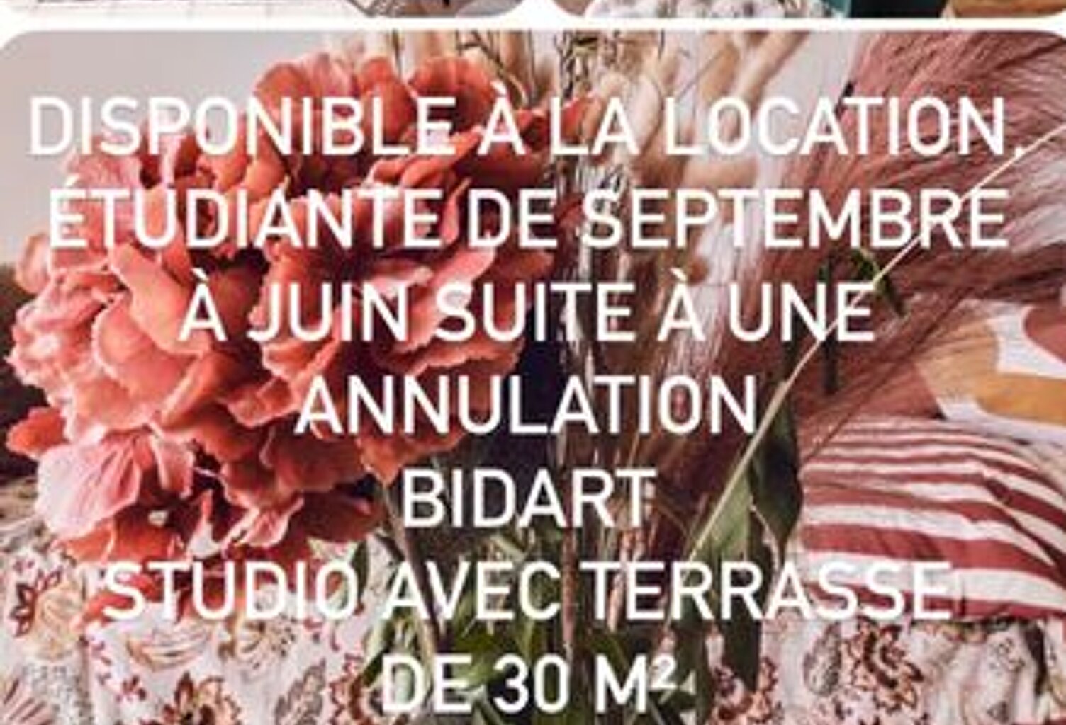 Studio de 37m2 à louer sur Bidart — photo 1
