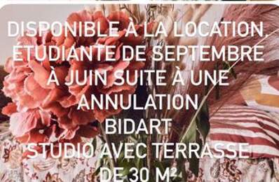 Studio de 37m2 à louer sur Bidart — photo du bien