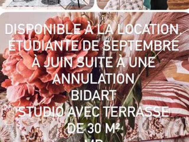 Studio de 37m2 à louer sur Bidart — photo du bien