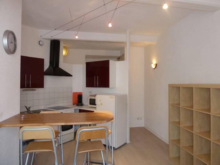 Appartement de 46m2 à louer sur Riom — photo 1