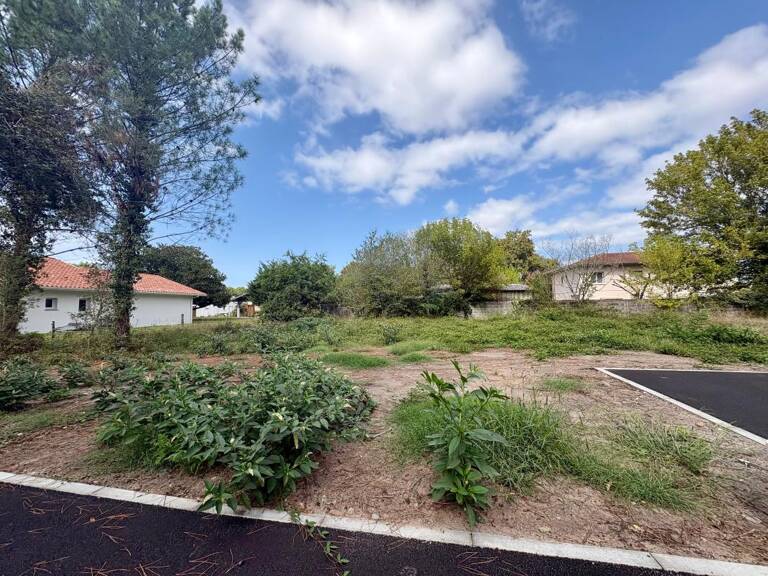 Terrain À Vendre — photo 1