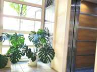 Créteil – Rare opportunité ! Superbe 2 pièces traversant de 53 m² avec balcon et box privatif — photo 2