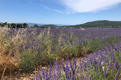Terrain  148000 €