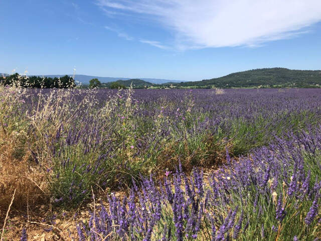 Habiter face au Colorado Provençal, une réalité — photo du bien