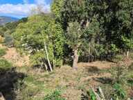 A SAISIR TERRAIN CONSTRUCTIBLE - OLMICCIA — photo 4