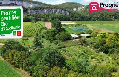 Ferme maraîchère avec gîtes, retaurant et point de vente — photo du bien