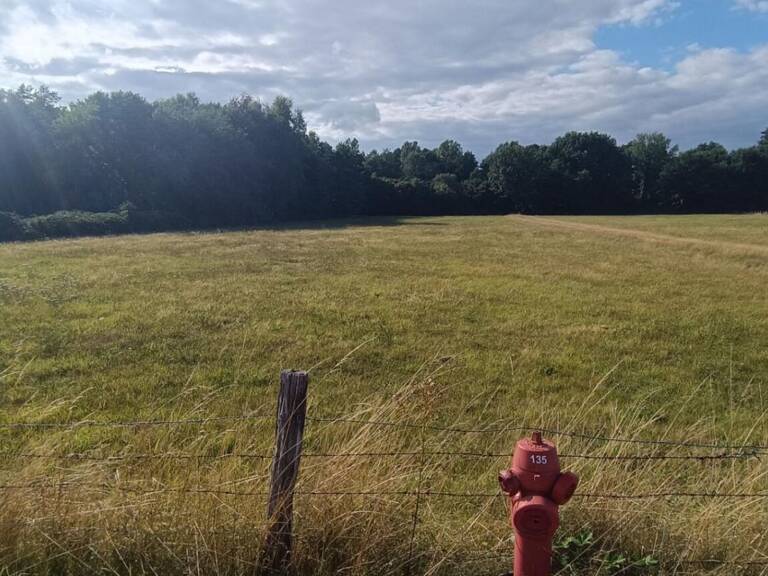 Terrain constructible  6704 m2 Luxeuil — photo 1