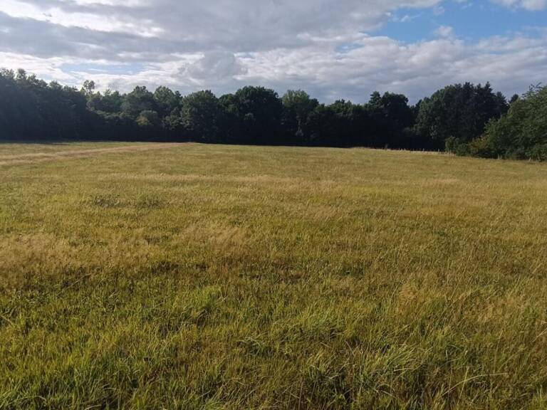 Terrain constructible.  9159 M2 m2 luxeuil — photo 1