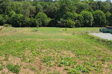 Terrain  55900 €