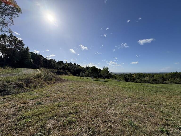 Terrain — photo 1