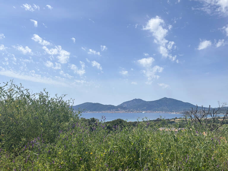 TERRAINS CONSTRUCTIBLES VUE MER   PORTICCIO — photo 1