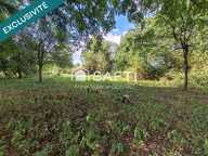 Terrain arboré 4 203 m² proche St Hilaire du Harcouet — photo 2