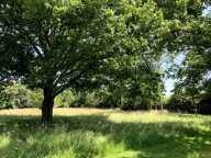 Magnifique ensemble Bressan situé dans un écrin de verdure — photo 3