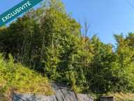 TERRAIN CONSTRUCTIBLE DE 2052 m²  CENTRE-VILLE DE SALINS-LES-BAINS  VUE DÉGAGÉE — photo 2